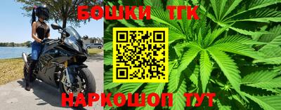 PSILOCYBIN Заволжье