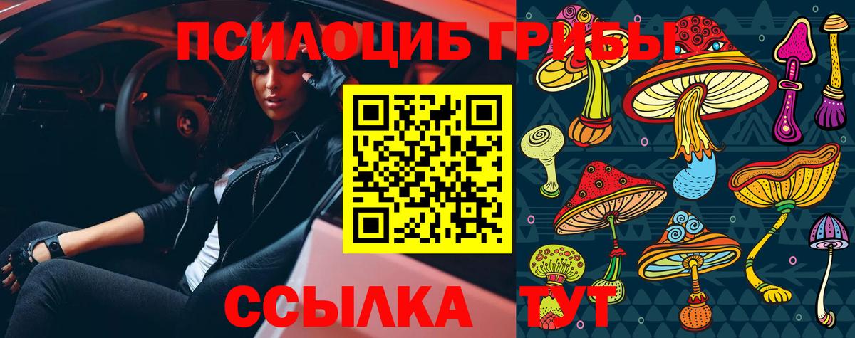 Псилоцибиновые грибы Psilocybe  Псилоцибиновые грибы GOLDEN TEACHER  Вход с VPN  Губаха 